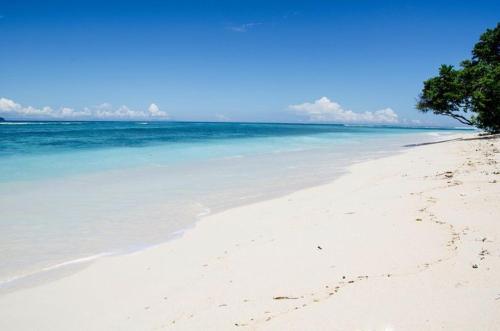 Portia Beach Grand 3
