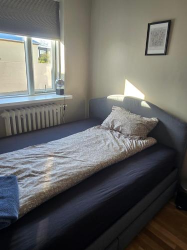 Sól - S12 Guesthouse, Keflavík (photo 2)