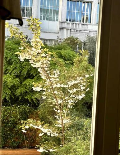 Architect Studio, Parigi (foto 8)
