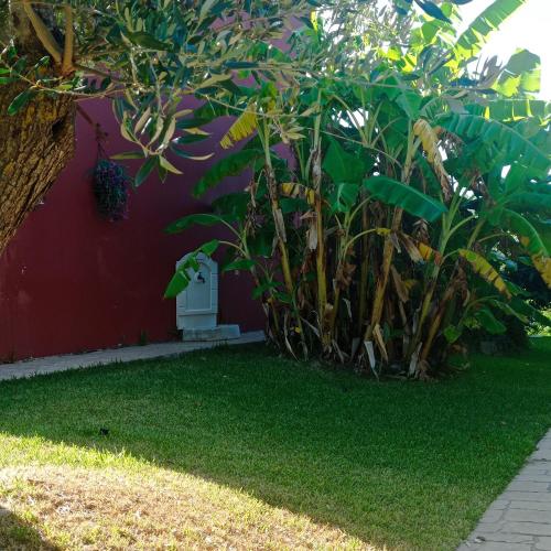 Volidiera Guesthouse 5