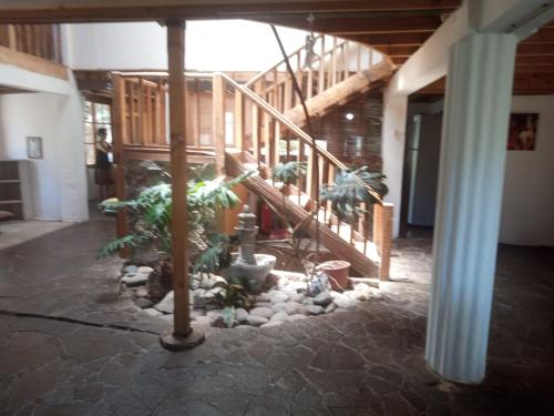 Diaguitas Valle de Elqui in Vicuna