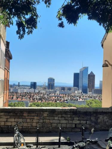 Pentes de la Croix-Rousse Le Lyon d'or, Lyon (fotografie 10)