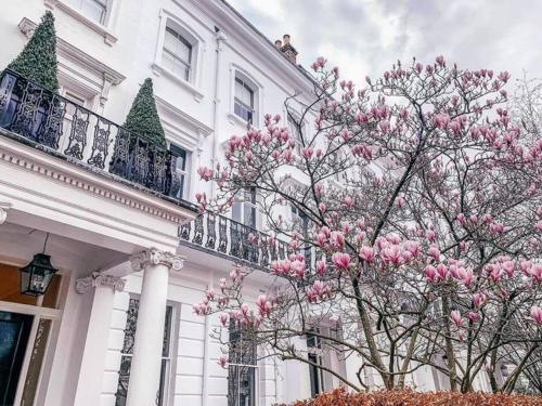 Kensington Luxury Penthouse and Studios, Londres