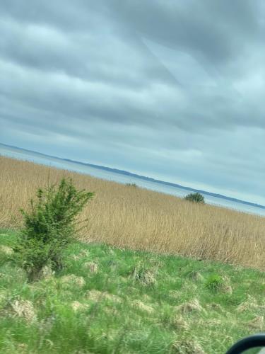 platja, Ålevænget 1 (Alevænget 1) in Skals