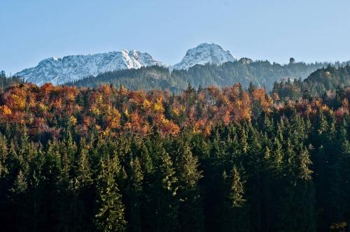 Willa Na Potoku, Zakopane