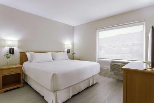 1 queen bed