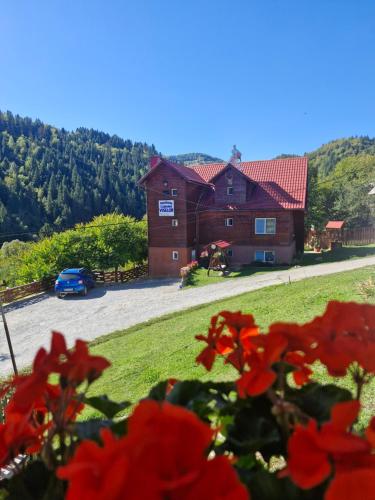 Pensiunea Cabana Viselor ,Apuseni