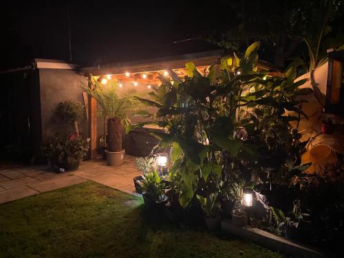 CF14 near สวนบิวท์