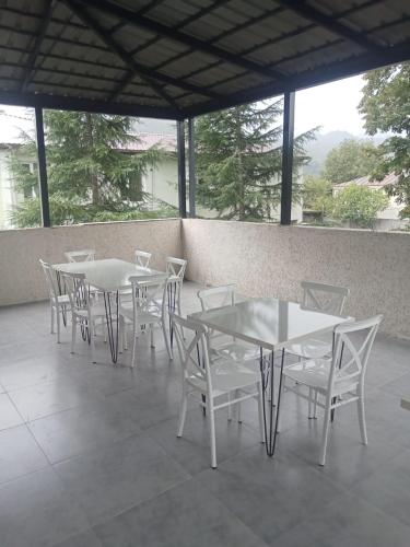 მეშვე, MESHVE in Tsageri