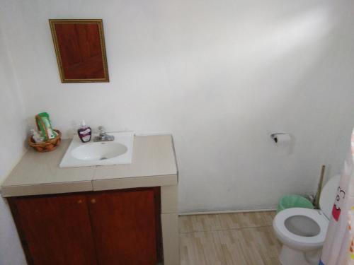 Anthurium Apartment Anthurium Apartment