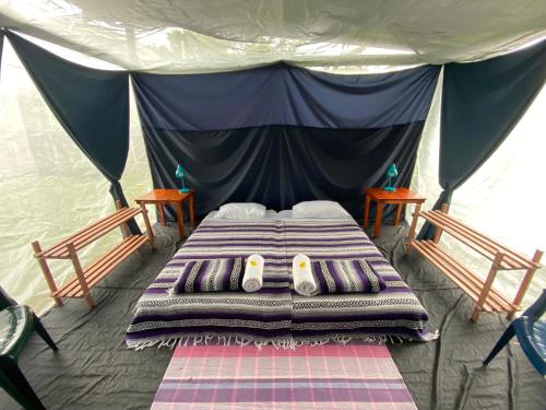 Rainforest Glamping, Forest Bathing in the Osa Region
