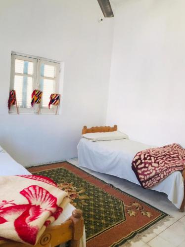ISIS Hostel