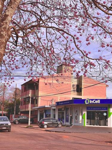 Departamento Amoblado en pleno Centro Hohenau in 奧比里加兔