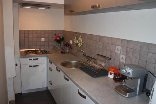 virtuve, Apartment Borna in Zabrežani