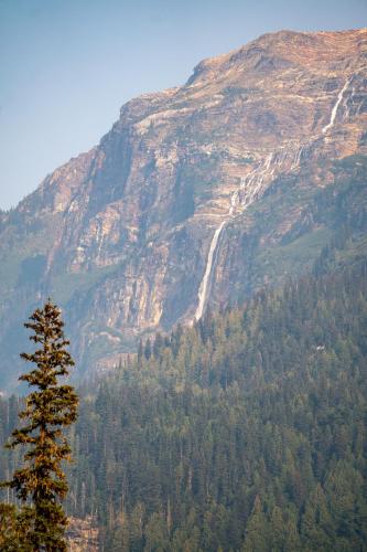 River Safari Bear Den in บลูริเวอร์ (BC)