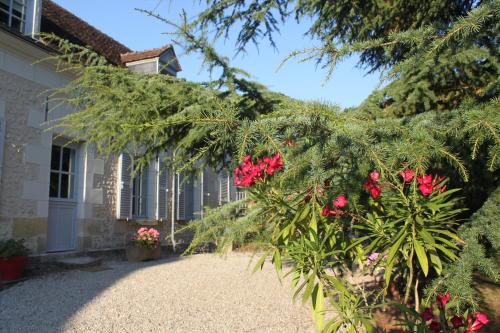 外部景觀, 貝拉西莫內塔住宿加早餐旅館 (Bella Simonetta) in 弗蘭科爾