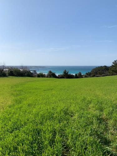 함덕리준하네, Jeju (foto 2)
