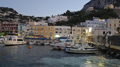Capri Aquarium Family - Tap to explore photos