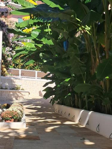 Villa Chrisanthi 5