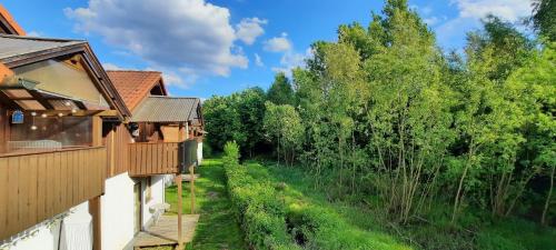 外部景觀, Ferienwohnung Wildgatter in 格拉芬維森