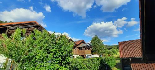外部景觀, Ferienwohnung Wildgatter in 格拉芬維森