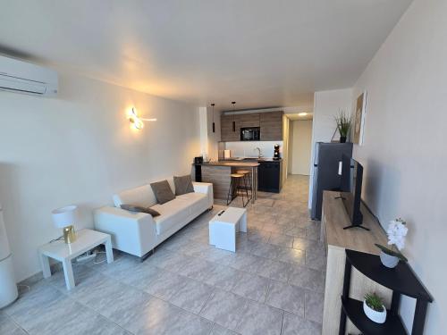 3Cap d'Agde naturiste T2 avec GARAGE privé