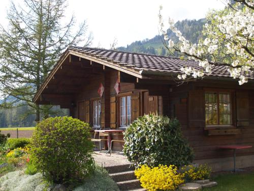 Salzano Basic Rooms Interlaken - image 9