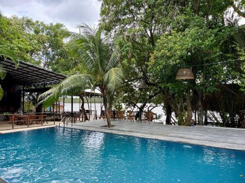 Swimming pool, River Nest Hostel in Kampot