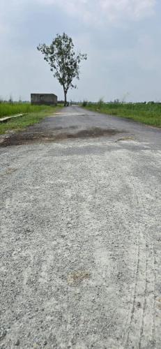 Shashank Infra Dream's in Chandauli