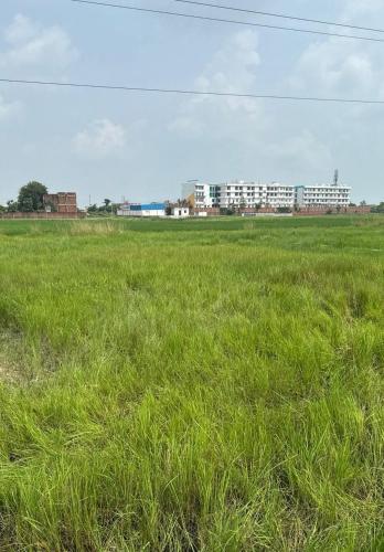 Shashank Infra Dream's in Chandauli