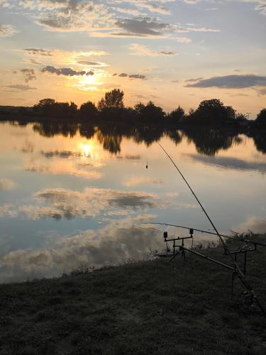 Halzona in Balatonvilágos