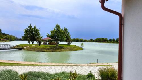 Halzona in Balatonvilágos