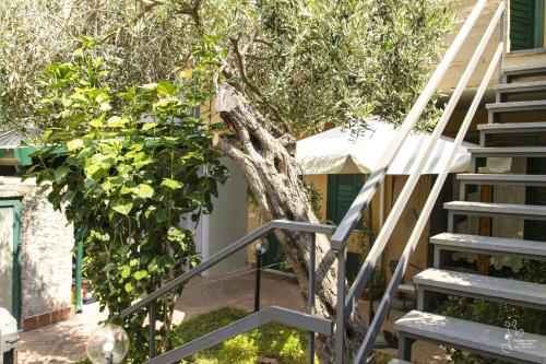 花園, Sicilian Home in 阿奇卡泰納