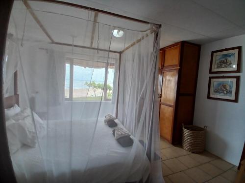 Casa Nova, Barra, Miramar (Foto 8)