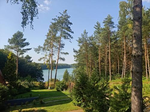 Scandinavian-style lake house in Борково