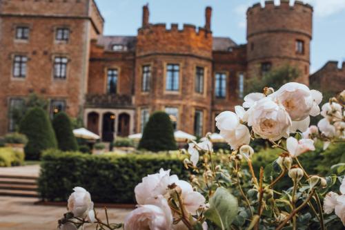 Rowton Castle - image 11