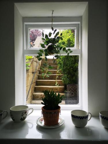 Lovely Garden Flat in Central Bath with Private Parking, Bath (fotografie 9)
