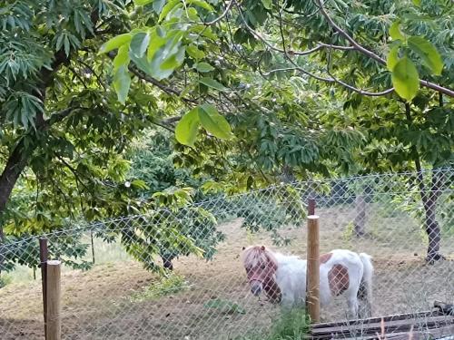 Pavlianis Calm Farm in 파블리아니