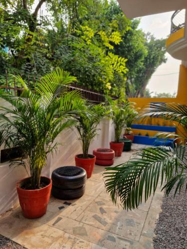 TNC Lucknow by The Nomad Cave Hostel, Lucknow (zdjęcie 9)