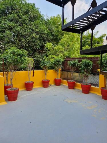TNC Lucknow by The Nomad Cave Hostel, Lucknow (zdjęcie 10)