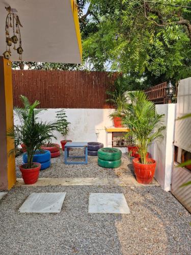 TNC Lucknow by The Nomad Cave Hostel, Lucknow (zdjęcie 8)