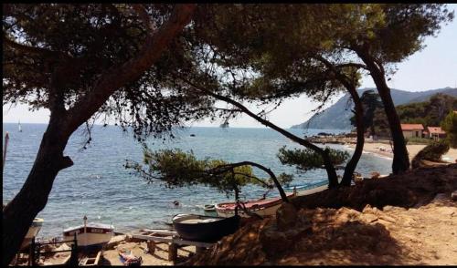 مناطق جذب قريبة, One-bedroom apartment, residence in Fabrégas, Beachfront (One-bedroom apartment, residence in Fabregas, Beachfront) in La Seyne-sur-Mer