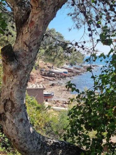 مناطق جذب قريبة, One-bedroom apartment, residence in Fabrégas, Beachfront (One-bedroom apartment, residence in Fabregas, Beachfront) in La Seyne-sur-Mer