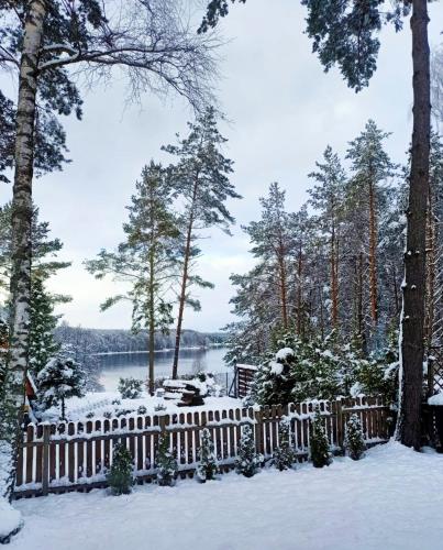 Scandinavian-style lake house in Борково