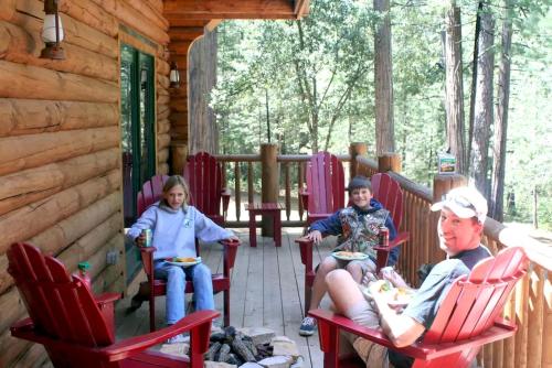 Family-Friendly Log Cabin Rental in California's Gold Country near Sacramento in Pioneer (CA)