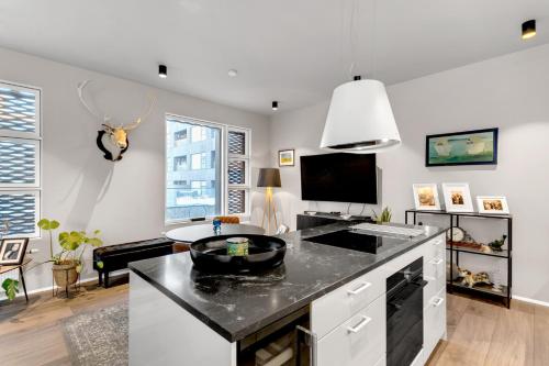 Sleek Condo in Downtown Reykjavik
