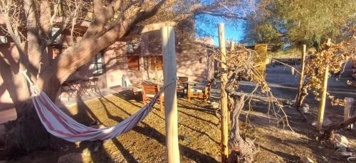 Skats, Cabañas & Suites Dunas de Fiambalá (Cabanas & Suites Dunas de Fiambala) in Fiambala