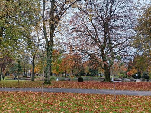 Direct Travel Stays in Cork Suburbs