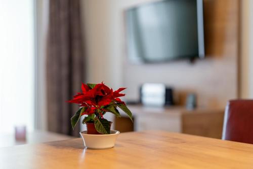 Apartment 207, Feldberg (Schwarzwald) (Foto 4)
