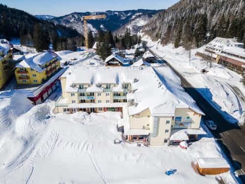 Apartment 207, Feldberg (Schwarzwald) (Foto 3)